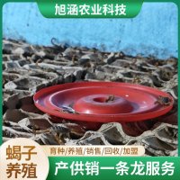 u-3013853970,1276882957-fm-199-app-68-f-JPEG