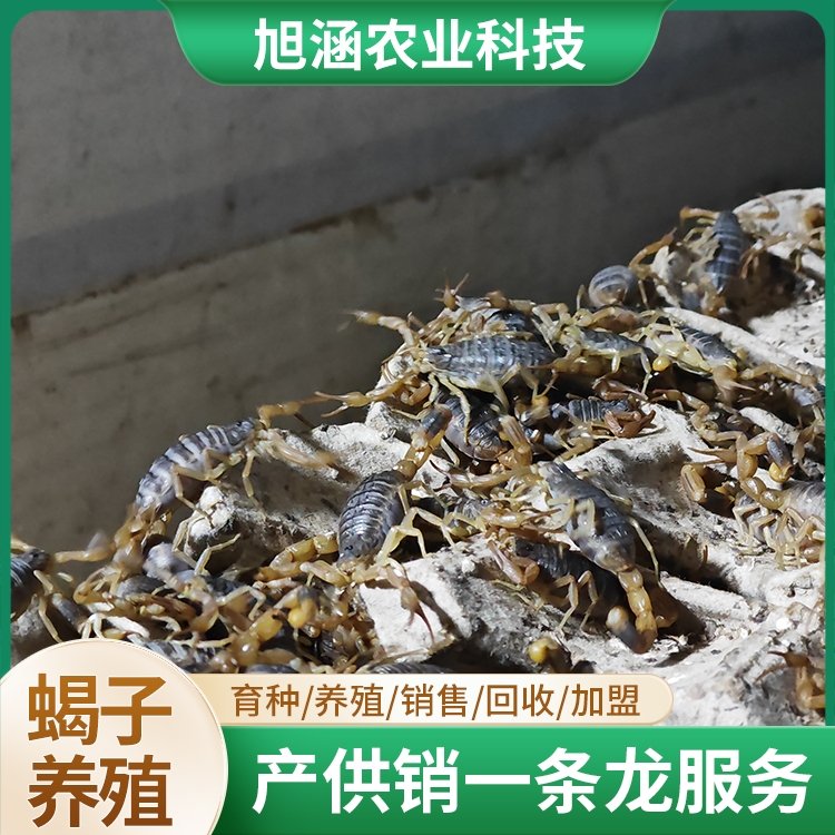 u-1969975802,4116443289-fm-199-app-68-f-JPEG