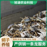 u-1969975802,4116443289-fm-199-app-68-f-JPEG