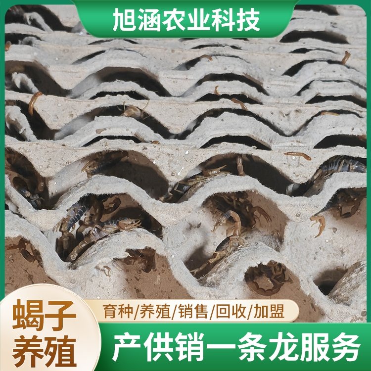 u-2967385566,813458353-fm-199-app-68-f-JPEG