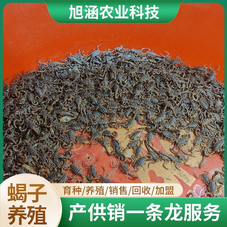 u-3899389981,3793678139-fm-199-app-68-f-JPEG