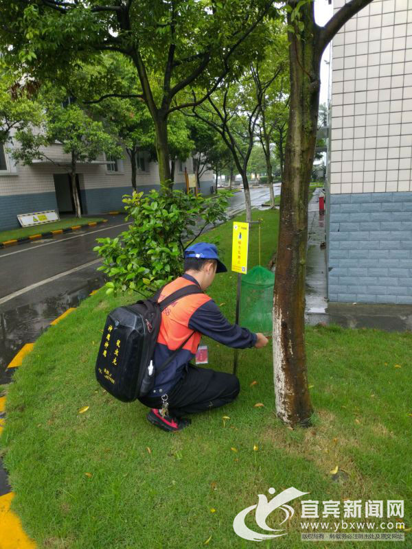 员工进行病媒生物防制。（宜宾新闻网 勾丽蓉 摄）