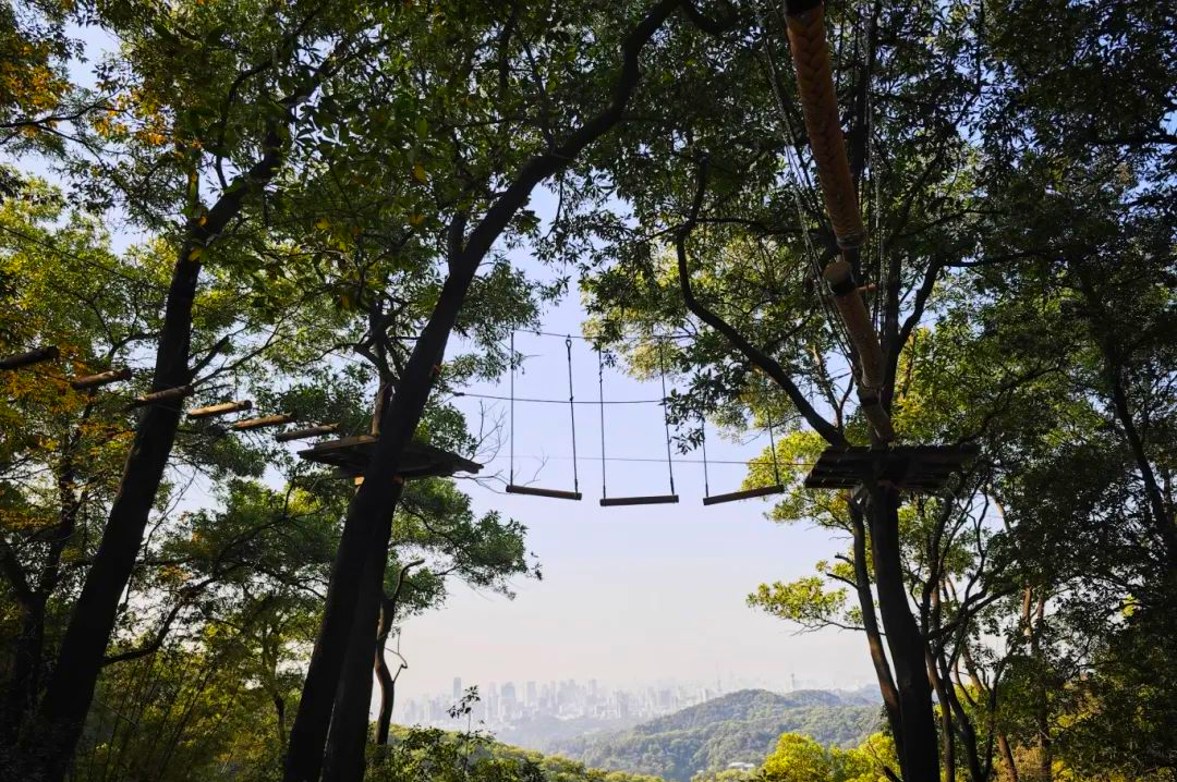 白云山1.png