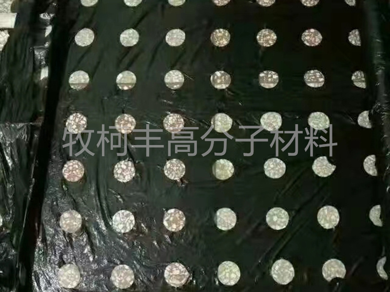 地膜-3