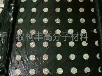 地膜-3