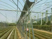 大棚膜-2