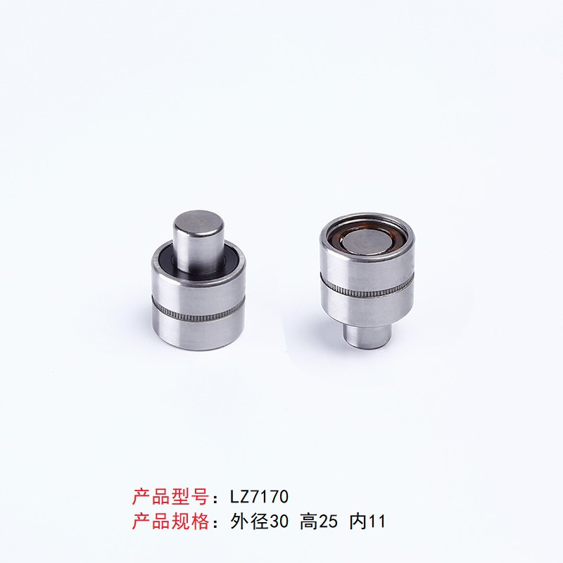 LZ7170
