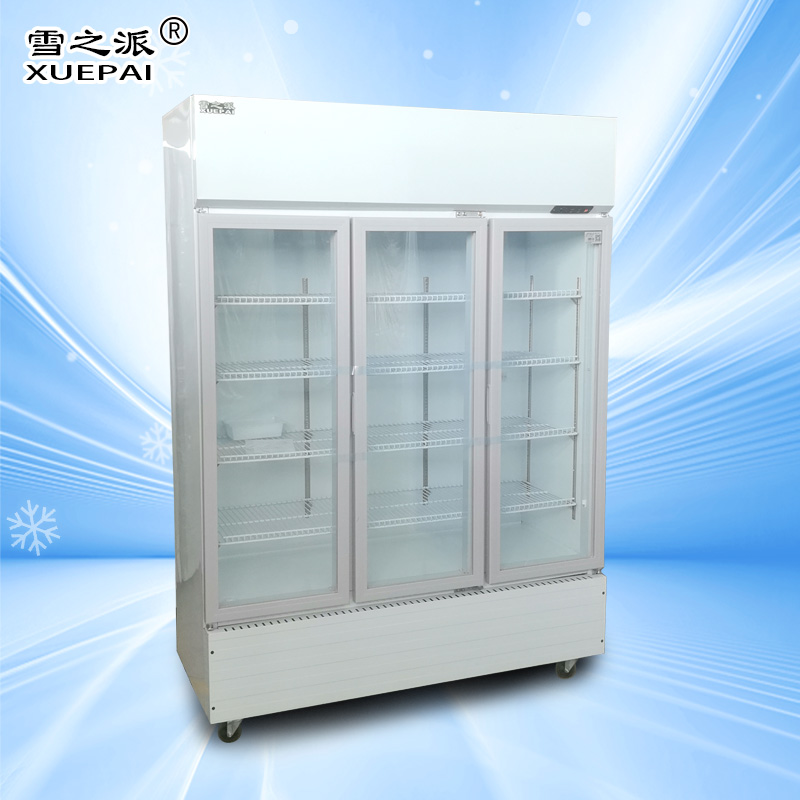 SC-980普通款直冷