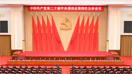 学习贯彻党的二十届四中全会精神