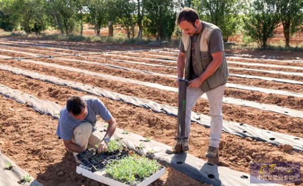 1614048526439776991490.png 640 (3).png