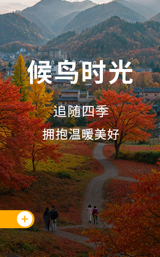 于花海邂逅灿烂春光   憩木屋拥抱清凉绿意   泡温泉共赏银杏黄   居竹楼静听细雨呢喃