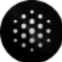 blackbox