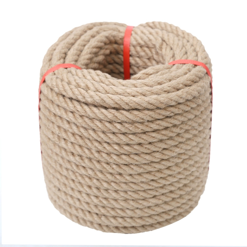 O1CN01aEy4MZ1DxCQMpnQCQ_!!1897530282.jpg_