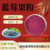 蓝莓果粉-主图