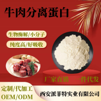 牛肉分离蛋白99-_副本