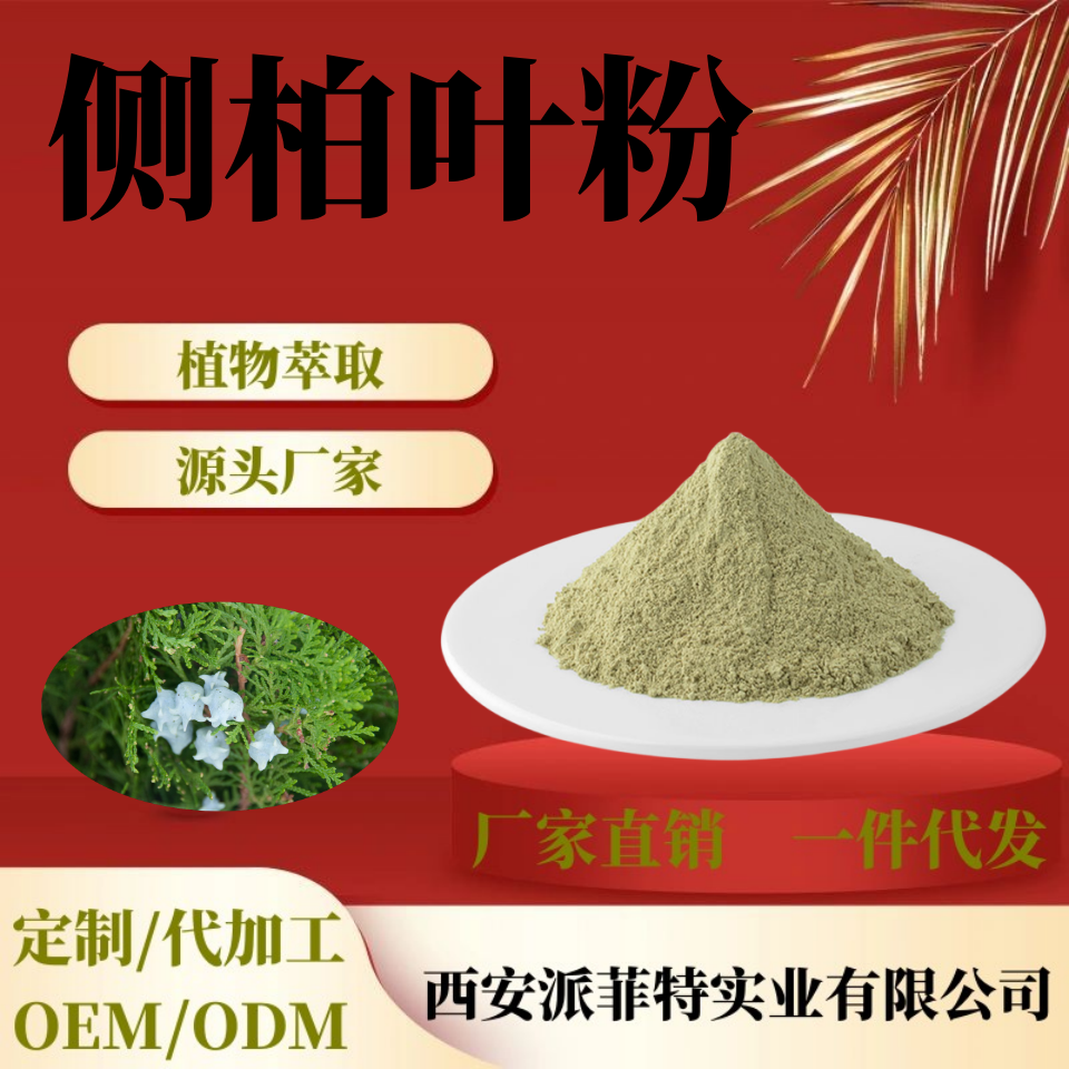 侧柏叶提取物主图__副本