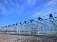 上海浦南花卉基地