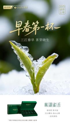 a84694591c97bbcae4e561ccb34238ba