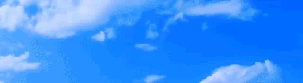 11111.gif