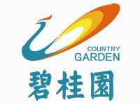 碧桂园