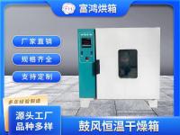 鼓风恒温干燥箱
