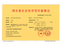 项目备案证