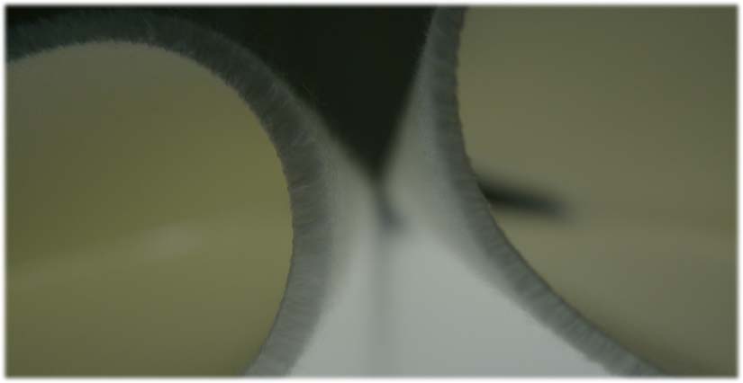 配向布又定向毛轮布