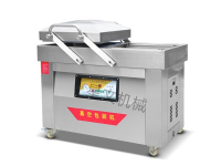 DZ-500双世真空包装机