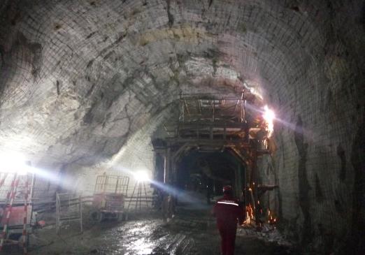 8ec33b77ee4282a9f5880856e6e6d8bb