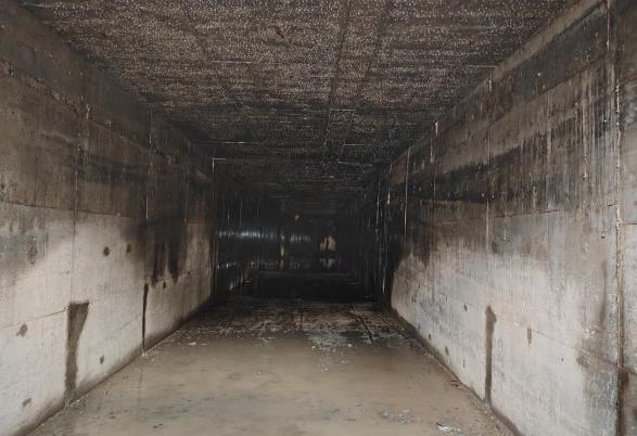 533963f052d1e4c17fbb8e1546bc0feb