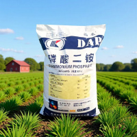 微信图片_20250917050415_322_47