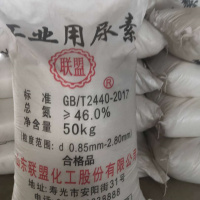 21628852463_1037923856