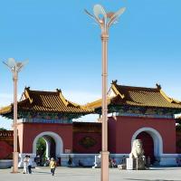 中华灯玉兰灯-6-