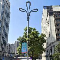 中华灯玉兰灯-5-