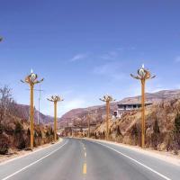 中华灯玉兰灯-2-