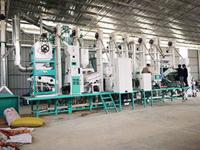 25T大米加工设备