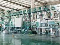 80T水稻碾米成套设备