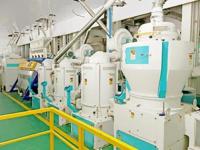 200T大米加工设备