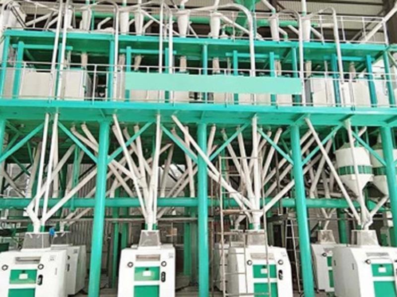 全套杂粮加工生产线