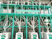 全套杂粮加工生产线