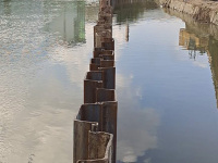 东莞华阳钢板桩河堤施工-8
