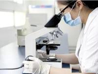 食品加工与检验专业