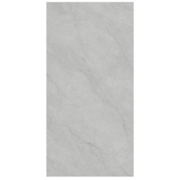 GYSL918013柏斯高灰-1