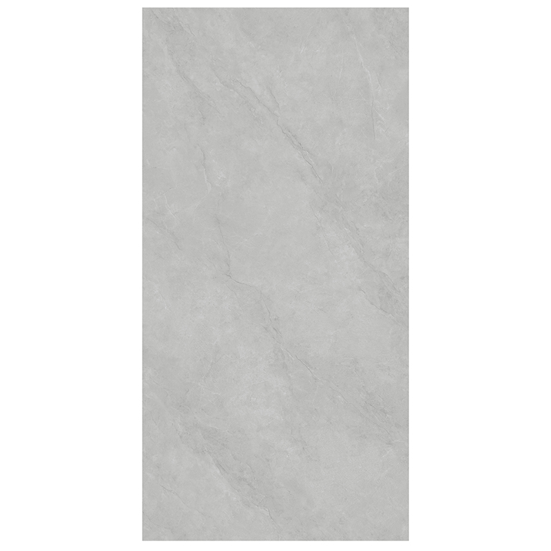 GYSL918013柏斯高灰-3