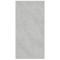 GYSL918013柏斯高灰-3