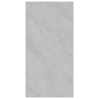 GYSL918013柏斯高灰-4