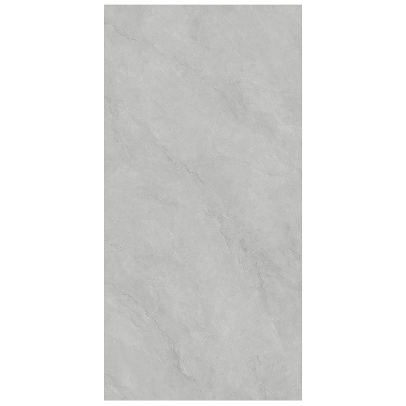 GYSL918013柏斯高灰-5