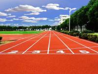 0cde7214c8c6e0fe954335f1c0308384