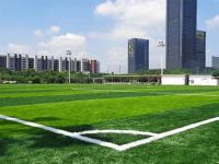 8c646e1c0b1680bdc8409c076897f71d