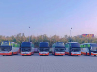 54座旅游大巴车-2